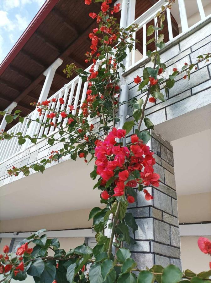 Bella Terra Nature Living Asprovalta Dış mekan fotoğraf